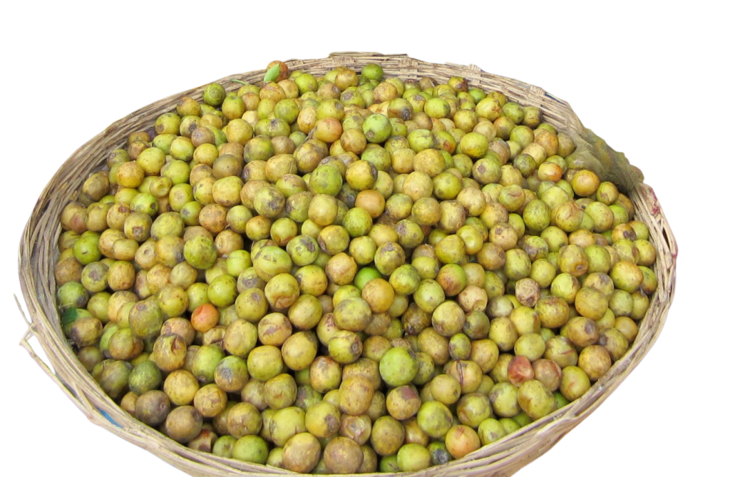 Lapsi