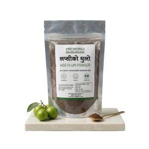 लप्सीको धुलो — Hog Plum Powder